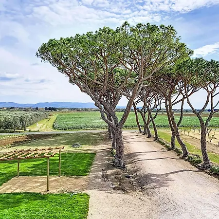 I Pini-2 By Interhome Apartamento Marina Di Bibbona